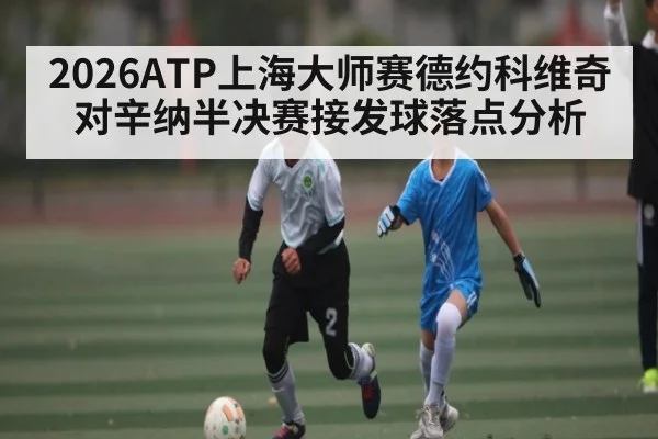 2026ATP上海大师赛德约科维奇对辛纳半决赛接发球落点分析